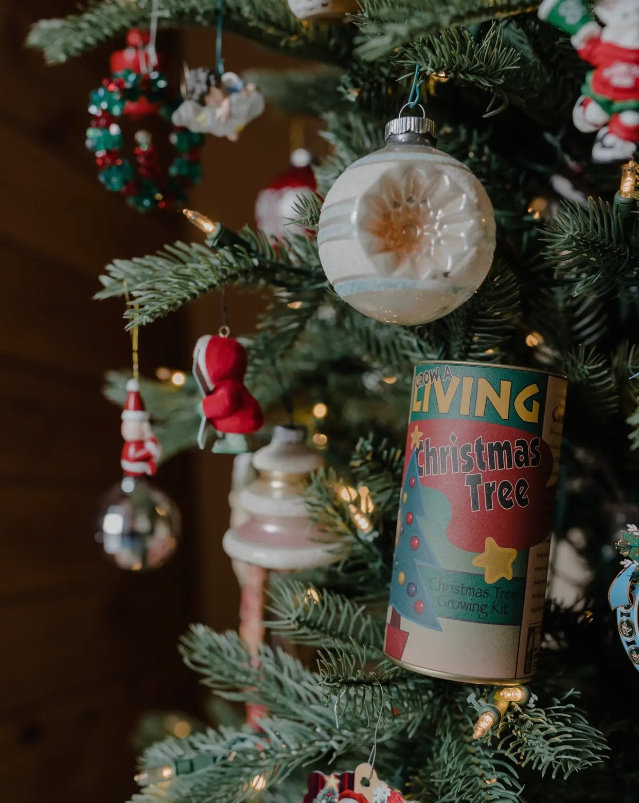 Balsam Fir Christmas Tree Kit