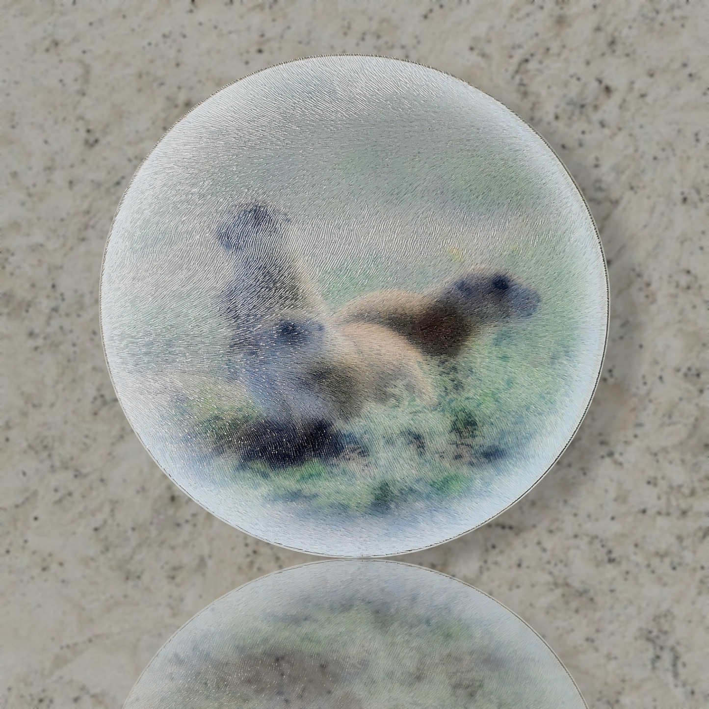 Plexi Glass Decor - Variety