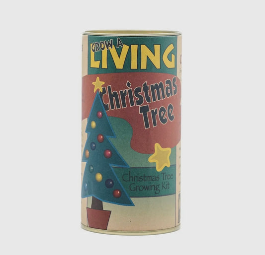 Balsam Fir Christmas Tree Kit