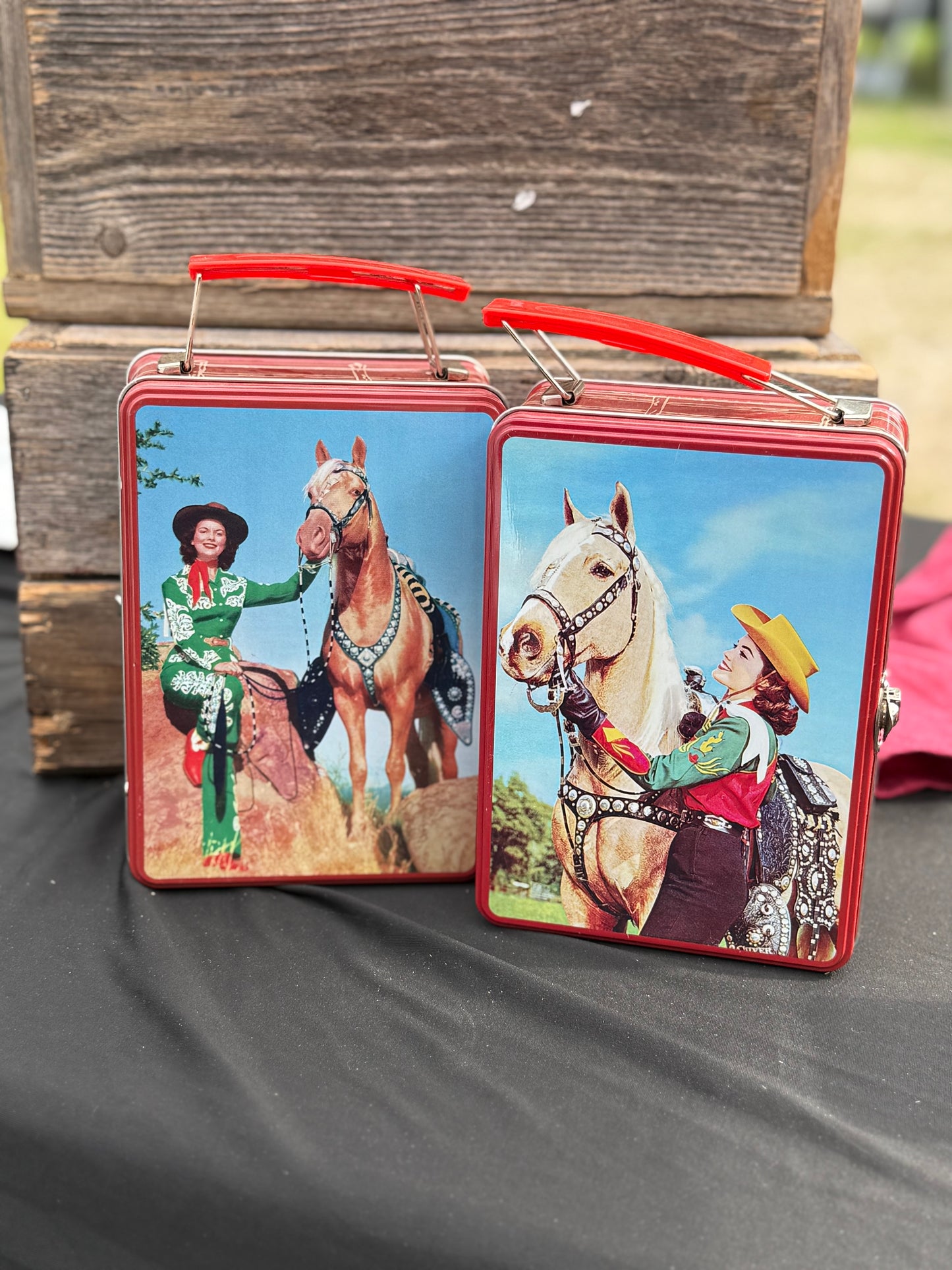 Cowgirl Tins - Carry Case