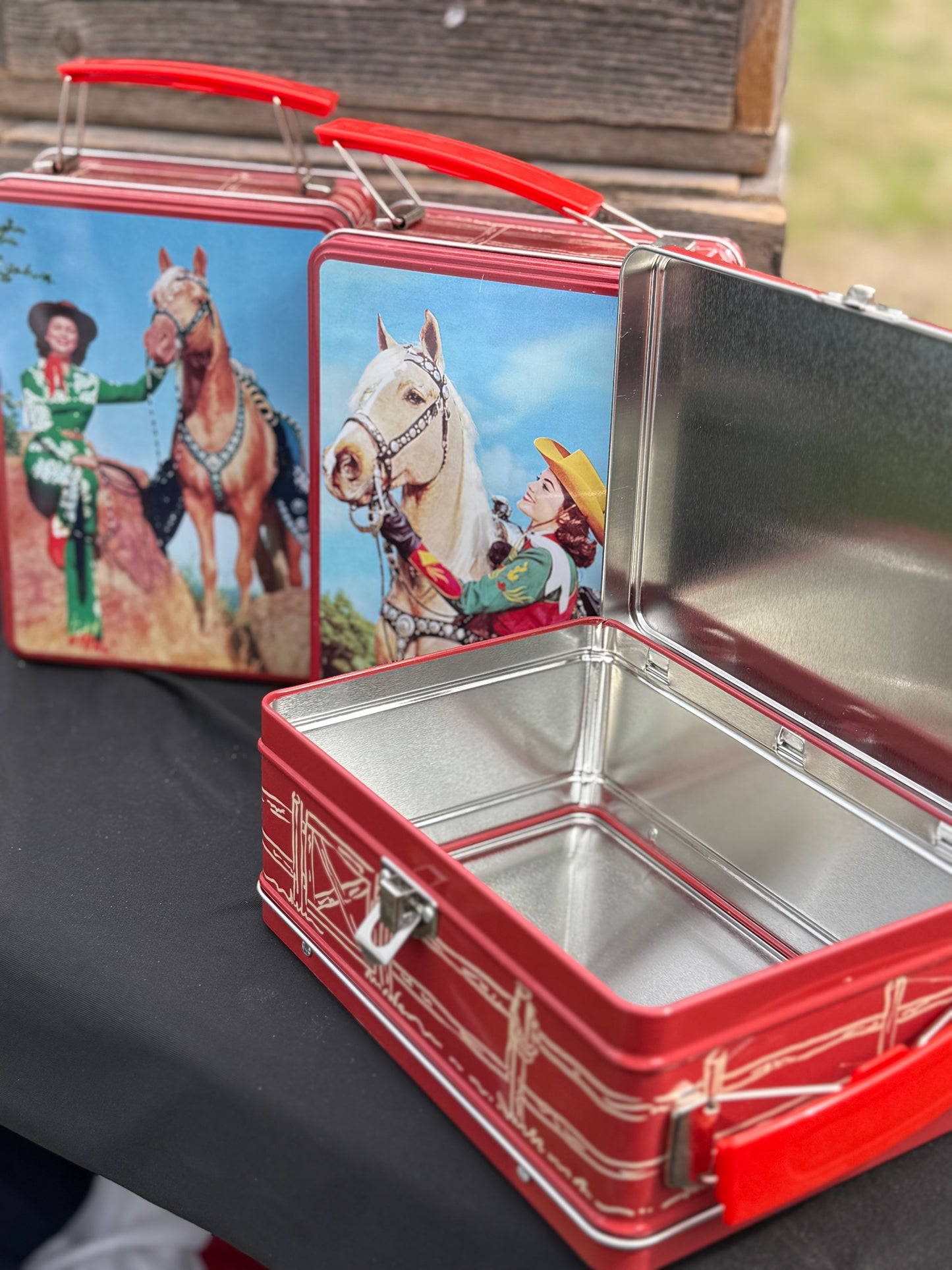 Cowgirl Tins - Carry Case